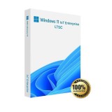 Windows 11 Enterprise LTSC 2024 pe stick USB nou cu licenta originala, pe viata