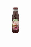 Sirop macese si echinaceea 500ml, Plafar