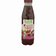 Sirop macese si echinaceea 500ml