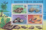 Timbre cu scoici din British Virgin Islands