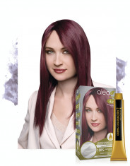 Vopsea de par cu ulei de argan si macadamia Blond Inchis Violet 6,69 Alea Color kit 155 gr foto