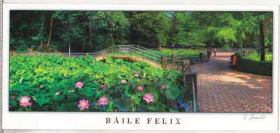 bnk cp Baile Felix - Vedere - necirculata foto