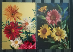 BC8, Lot 14 carti postale flori foto