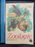 Zoologie pentru clasa a VI-a / C. Bogoescu - Al. Dabija - A. Stoicescu / 1982