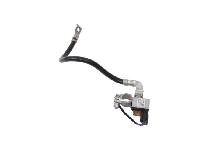 Borna cablu baterie BMW X5 F15, F85 2017 OEM: 61216819309,6819309 17662931