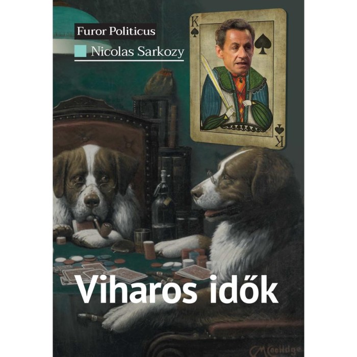 Viharos idők - Nicolas Sarkozy