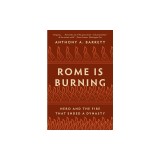 Rome Is Burning: Nero and the Fire That Ended a Dynasty