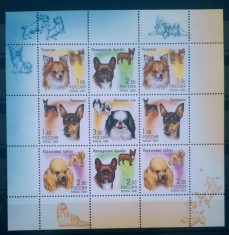 Rusia 2000 c&acirc;ini, animale, c&acirc;ini de rasă neștampilat