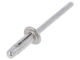 Diblu 10buc Fiat Ford Renault 15,5mm