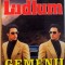 GEMENII RIVALI de ROBERT LUDLUM , 1976
