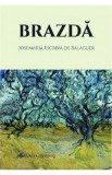 Brazda - Josemaria Escriva de Balaguer