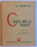CATEVA ORE LA SNAGOV DE AL. I. ODOBESCU
