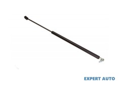 Amortizor capota spate Hyundai EXCEL II (LC) 1999-2005 foto