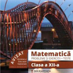 Matematica. Probleme si exercitii. Teste - Clasa 12 - Marius Burtea, Georgeta Burtea