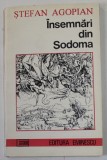 INSEMNARI DIN SODOMA ( PORTRET AL ARTISTULUI MURIND ) de STEFAN AGOPIAN , 1993