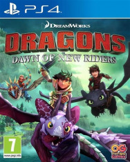 Dragons Dawn Of The New Riders Ps4 foto