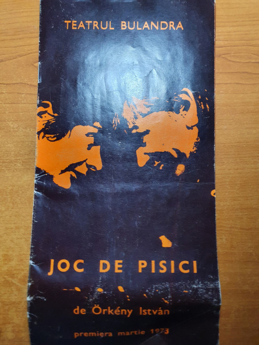 program teatrul bulandra martie 1973-joc de pisici cu tamara buciucianu