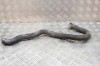 Furtun de lichid de răcire LAND ROVER RANGE ROVER SPORT II L494 2017 OEM: FK62-9F287-CA 14631389