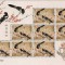 CHINA 2017 FAUNA PASARI