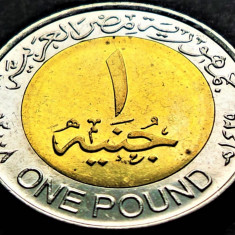 Moneda exotica bimetal 1 POUND - EGIPT, anul 2008 *cod 2740 = UNC