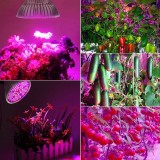 Cumpara ieftin Bec Led 30w Pentru Cresterea Plantelor si Legumelor