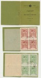 ROMANIA 1906 Carnet de binefacere cu două blocuri de 4 timbre Tesatoarea (Regina Elisabeta), de 3 si 5 Bani stampilate, Stampilat