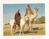 FA147 - Carte Postala - ISRAEL - Beduin Horsemen, necirculata