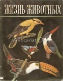 Cumpara ieftin Viata Animalelor Vol. V: Vertebrate - Gladkova, Miheeva (1970, Moscova, Rusa, Stare Buna) Carte Medicina Veterinara