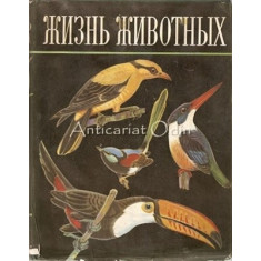 Viata Animalelor V - N. A. Gladkova, A. V. Miheeva