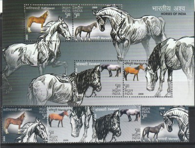 Fauna,cai de rasa ,India . foto
