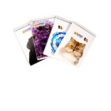 Bloc notes spiralizat, format A6, 50 file, liniatura dictando