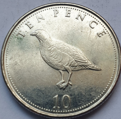 10 pence 2015 Gibraltar, Barbary partridge, foto