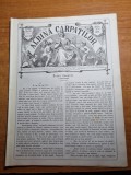 Albina carpatilor 1 aprilie 1879-art. igiena, epistola amoaroasa,petru cazacul