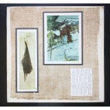Expoziția Aurel Ciupe - Maria Ciupe: mai 1969 (Muzeul de Artă Cluj)
