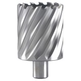 HiKOKI 754519 - Carota HSS 30x55 mm prindere weldon 19 mm metal