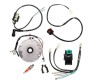 Instalatie Electrica + Magnetou ATV TaoTao 107cc 110cc 125cc - 2 bobine, TMMP