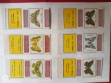 cutii chibrite din fabrici Romania -RSR , stare exceptionala .Fabrici chibrite Braila , etc.Set 6 cutii chibrite .