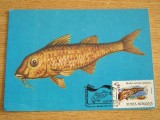 C12 - maxima Romania - tematica pesti 3 - prima zi a emisiunii sau expozitii, Romania de la 1950, Fauna