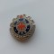 Insigna GPAS-RPR