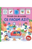Cumpara ieftin Primele 100 de cuvinte. Ce facem azi?