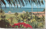 Bnk cp Mexic - La Paz , Baja California - circulata spre Romania - anii `60, Printata