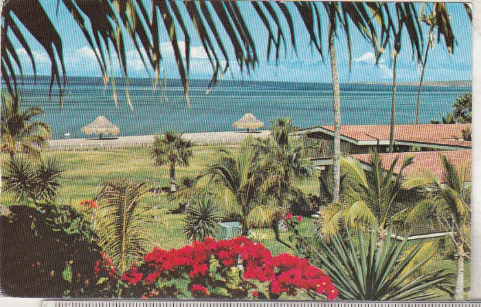 bnk cp Mexic - La Paz , Baja California - circulata spre Romania - anii `60