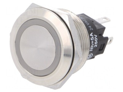 Comutator Anti-Vandalism SPDT 24V 3A foto