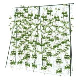 Ansamblu suport pentru plante cu plasa, araci 150x150 cm, pentru castraveti