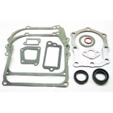 Cumpara ieftin Set Garnituri Motor Briggs and Straton (Seriile 110900, 111900) 4 CP