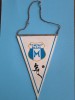 Fanion Asociatia Sportiva Metalul Buzau / CD1P