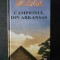 JOHN GRISHAM - CAMPIONUL DIN ARKANSAS (2002, editie cartonata)