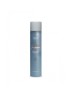 Fixativ profesional Finalizing 500ml