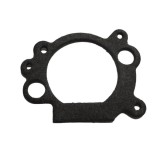 Cumpara ieftin Garnitura Carburator (Aer) Briggs&amp;stratton Ohv Everest 06-01004