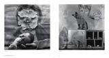 Ballenesque: Roger Ballen: A Retrospective | Roger Ballen, Robert J. C. Young